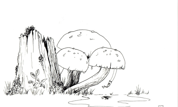 Champignon #07